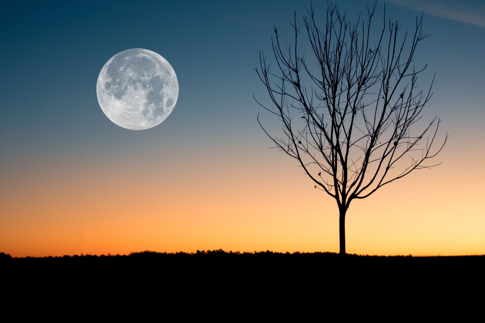 Moonrise